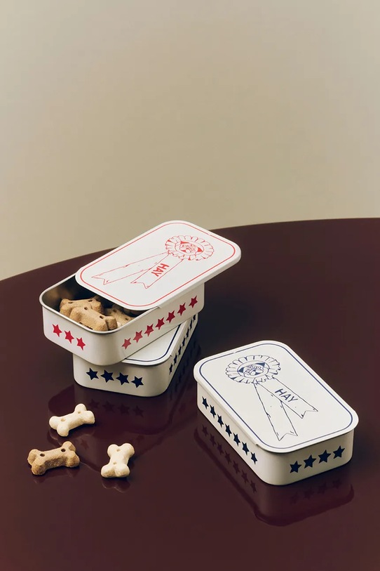 Lifestyle HAY pojemnik dla pupila 2,5 x 6 x 9,5 cm AF177.A601.AG93 biały