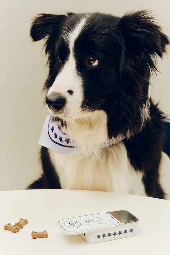 HAY pojemnik dla pupila 2,5 x 6 x 9,5 cm biały AF177.A601.AG93