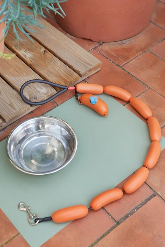 Balvi smycz dla psa 110 cm pomarańczowy 28202