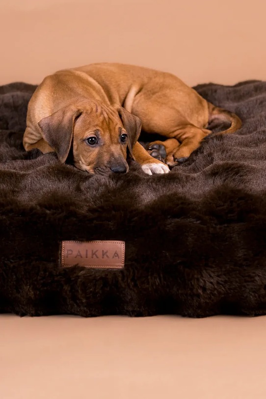 PAIKKA legowisko dla psa 120 x 80 cm 1021028 brązowy AA00