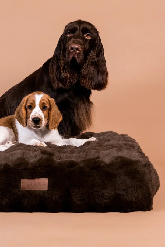 Lifestyle PAIKKA legowisko dla psa 120 x 80 cm 1021028 brązowy