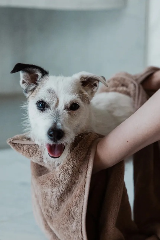 Lifestyle PAIKKA ręcznik dla psa 40 x 110 cm 1071011 beżowy