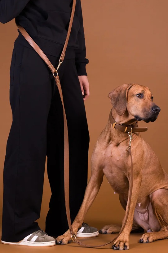 PAIKKA smycz dla psa L 1031030 brązowy AA00