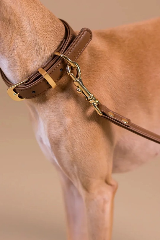 Lifestyle PAIKKA zgardă pentru căței XL 1031026 maro