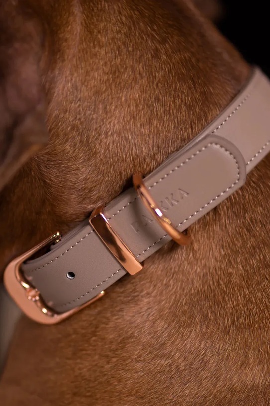 Lifestyle PAIKKA collare per cani XS 1031011 beige