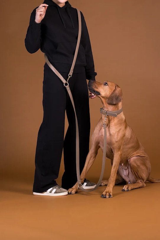 PAIKKA λουρί για κατοικίδιο S 1031017 μπεζ AA00