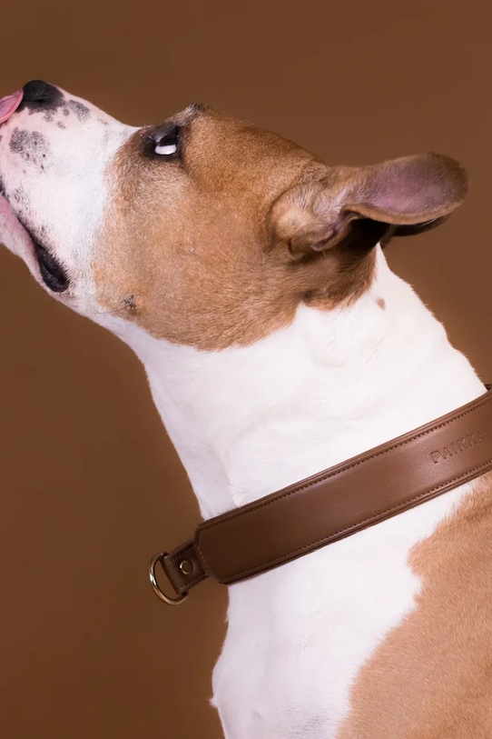 Lifestyle PAIKKA obroża dla psa L 1031021 brązowy