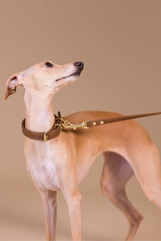 Lifestyle PAIKKA smycz dla psa S 1031027 brązowy