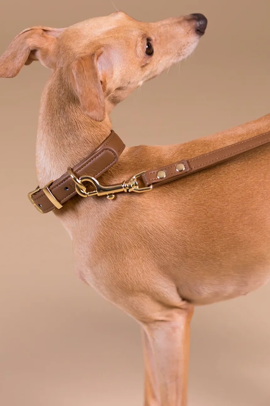 PAIKKA smycz dla psa L 1031028 brązowy AA00