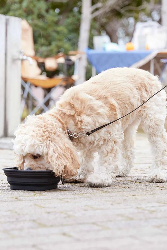 Yamazaki miska pre domáceho maznáčika 17,3 x 18,3 x 2,3 cm 10216.