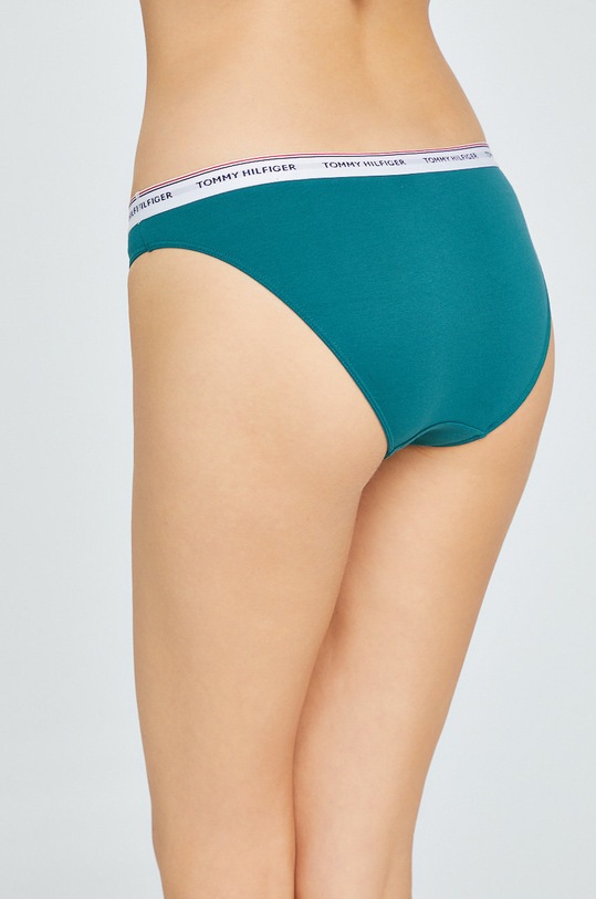 Odzież Tommy Hilfiger - Figi (3-pack) UW0UW00043... multicolor
