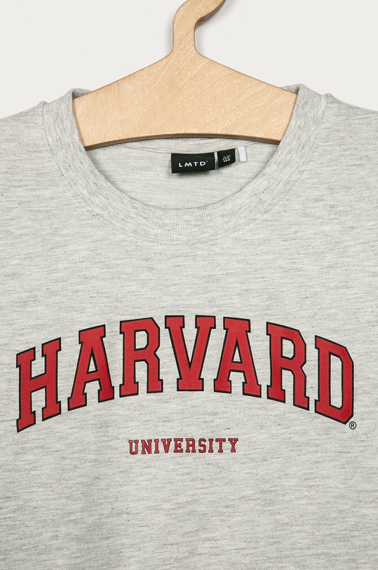 Chlapec Lmtd - Detská mikina 134-176 cm 13182048 sivá