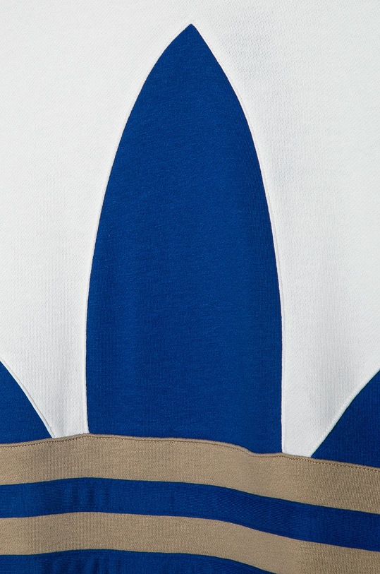 Chłopiec adidas Originals - Bluza dziecięca 140-170 cm GE1978 GE1978 multicolor