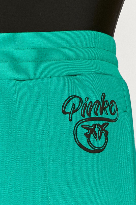 Pinko - Spodnie 1N12XZ.Y75F zielony
