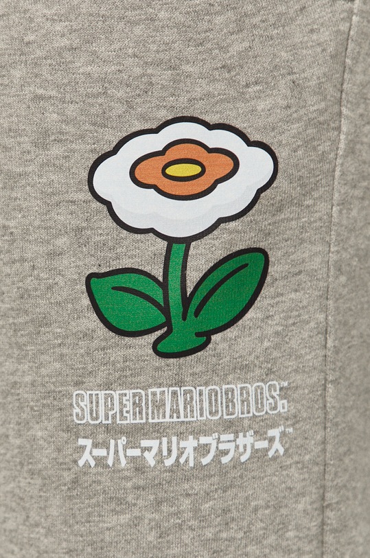 Odzież Champion - Spodnie x Super Mario Bros. 216870 216870 szary