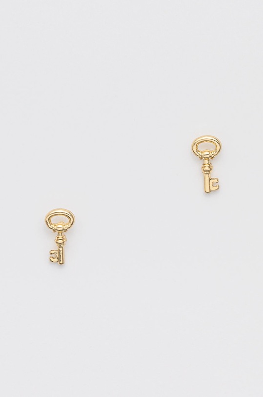 Náušnice Lauren Ralph Lauren 60572747.5ZU zlatá AW21