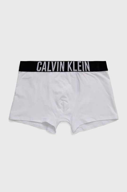 Chłopiec Calvin Klein Underwear Bokserki dziecięce (2-pack) B70B700344.4890 biały