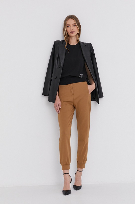 Kalhoty Pinko high hnědá 1G16SX.1739