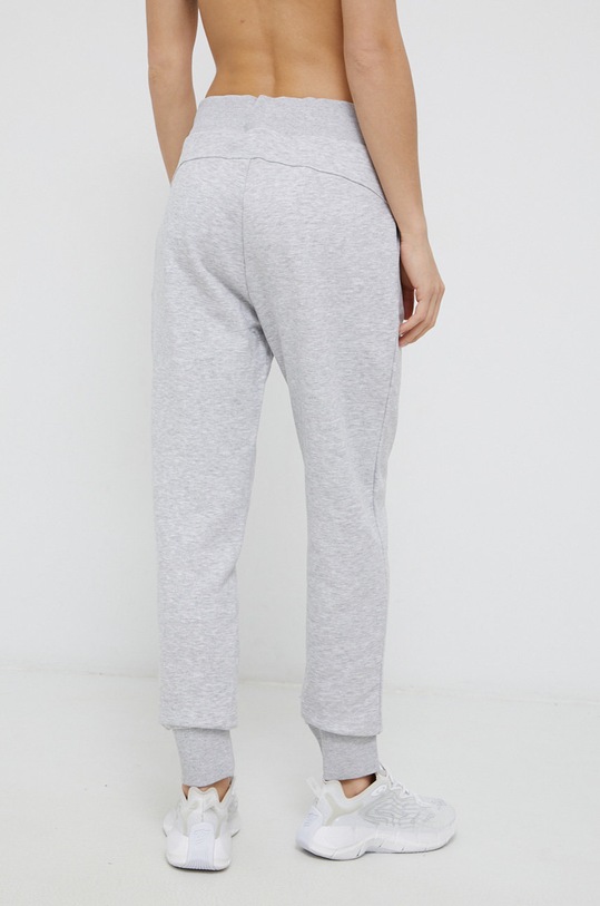 4F Spodnie NOSH4.SPDD351 szary AW21