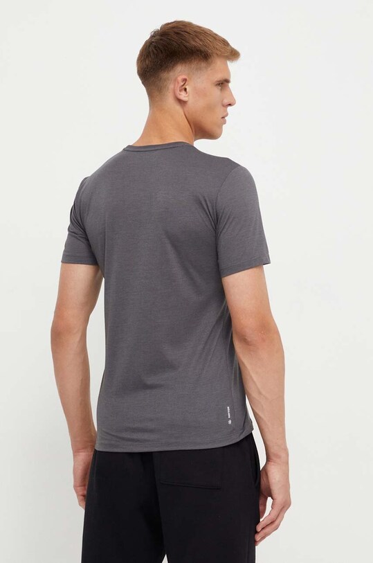 Odzież Salewa t-shirt sportowy Pure Eagle Frame Dry 00.0000028448 szary