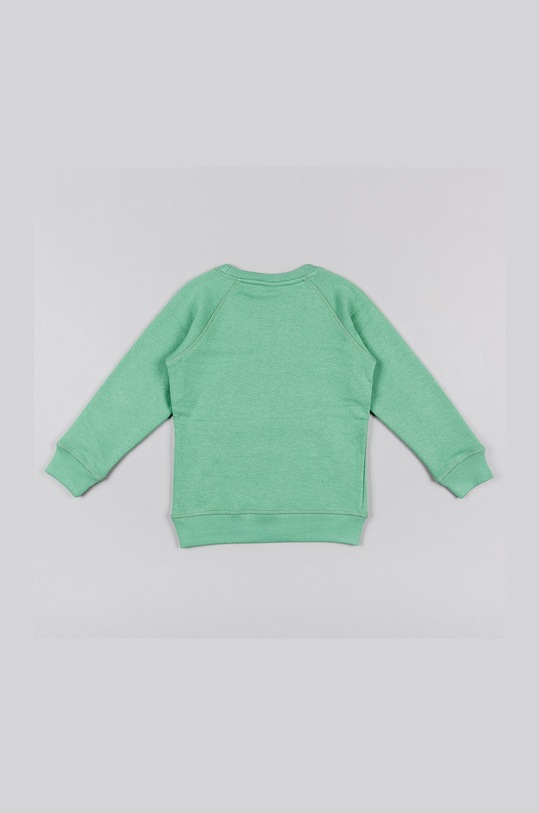 Chłopiec zippy bluza dziecięca 225.6940ZT zielony