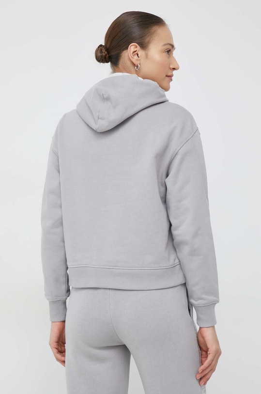 Oblečení Mikina Calvin Klein Jeans J20J218048.9BYY šedá