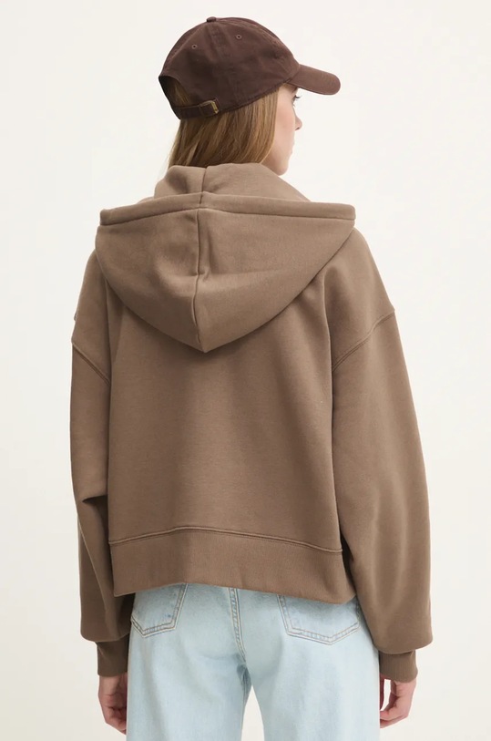 Oblečení Mikina Dickies DK0A4Y1ZBLK1 hnědá