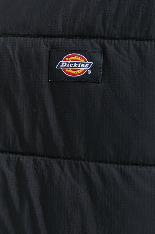 Куртка Dickies DK0A4Y3XBLK1