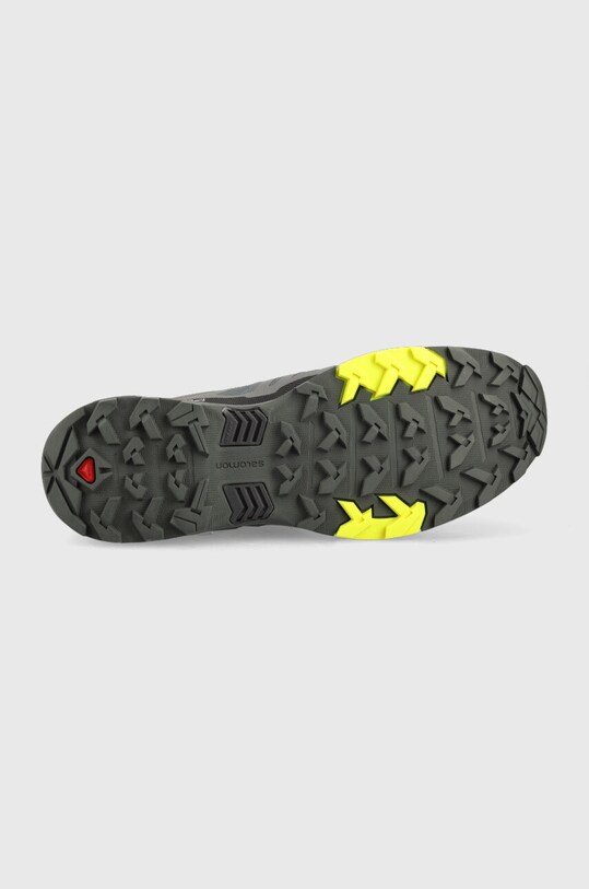 Ботинки Salomon X Ultra 4 GTX L41622900 серый