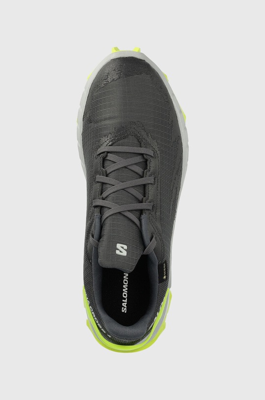 Salomon buty Alphacross 4 GTX szary L47066700