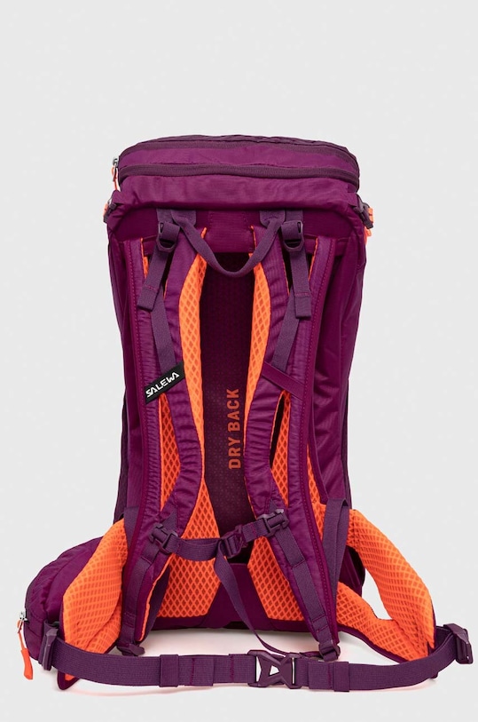 Dodatki Nahrbtnik Salewa Alp Trainer 20 00.0000001262 vijolična