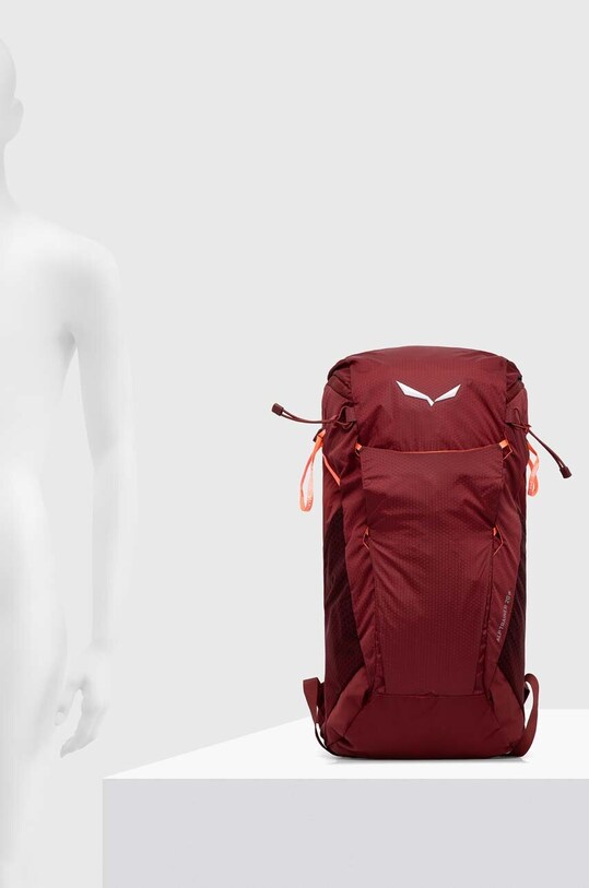 Salewa rucsac Alp Trainer 20 00.0000001262