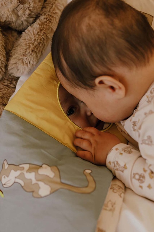 Chłopiec That's mine zabawka niemowlęca 026002 Kimmey Book 026002 brązowy