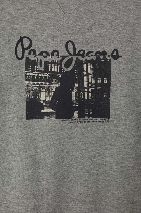 Chłopiec Pepe Jeans bluza dziecięca PB581529 szary