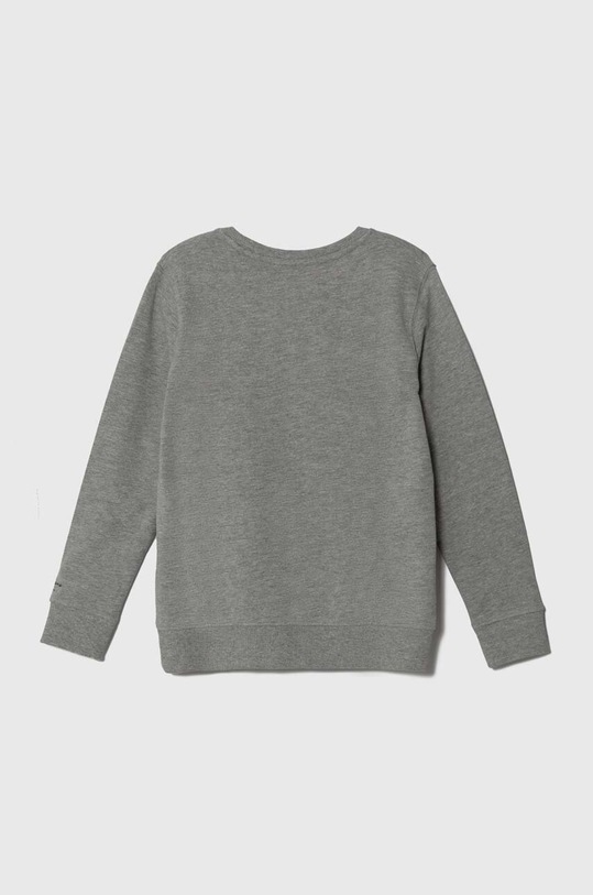 Pepe Jeans bluza bawełniana dziecięca PB581524 szary AW23