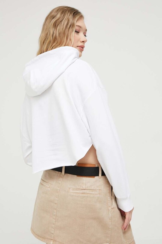 Oblečení Mikina Tommy Jeans DW0DW16126 bílá