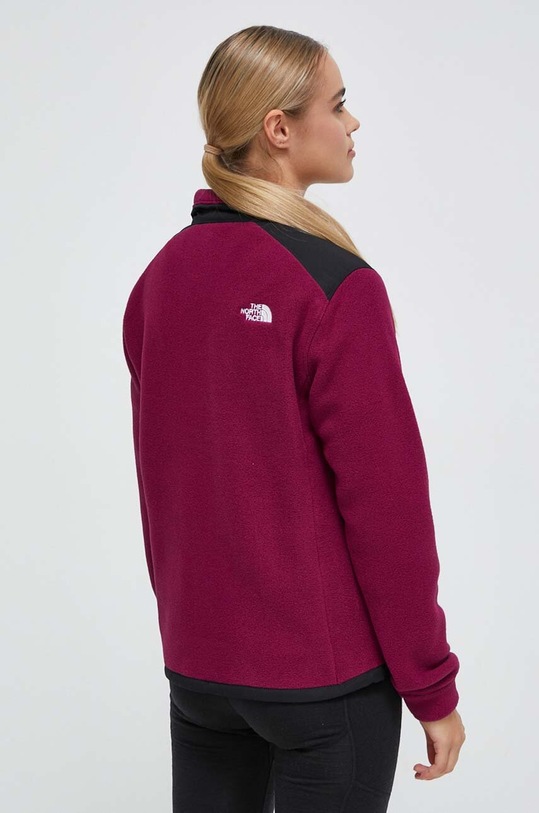 Odjeća Sportska dukserica The North Face Alpine Polartec 200 NF0A7WWMKK91 ljubičasta