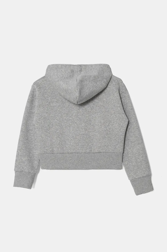 Детски суичър Under Armour UA Rival Fleece Crop 1379517 сив AW24