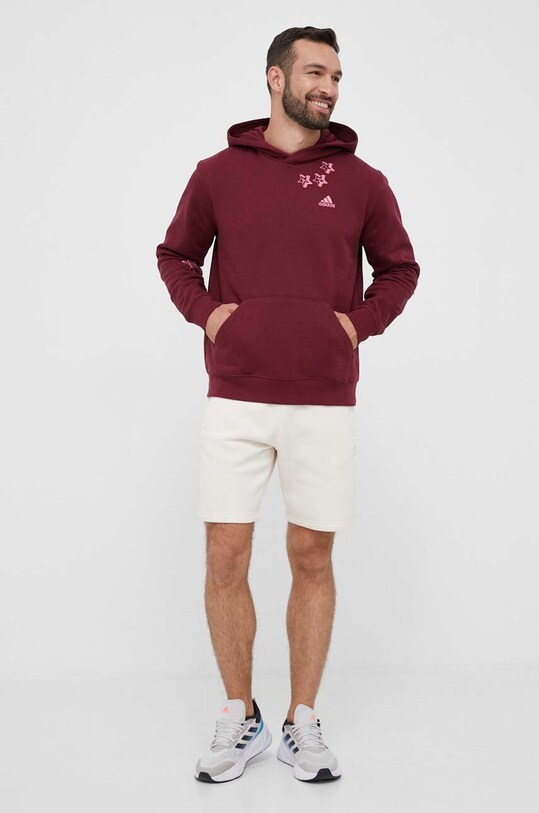 Кофта adidas IJ6448 бордо AW23