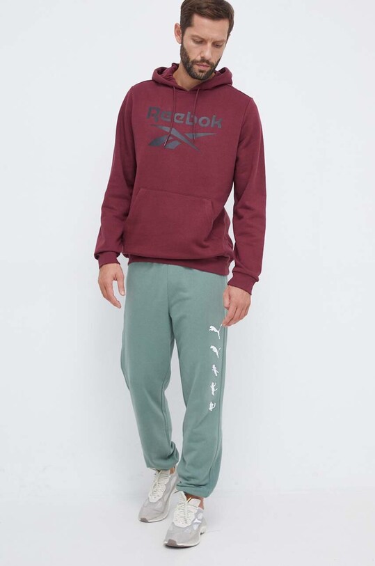 Кофта Reebok 100071039 бордо AW23