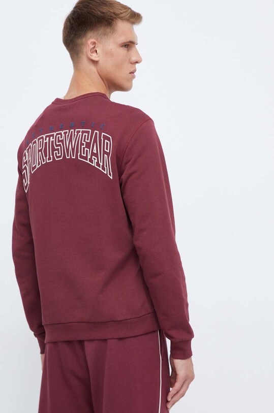 Îmbrăcăminte Reebok Classic hanorac de bumbac 100034557 burgundia
