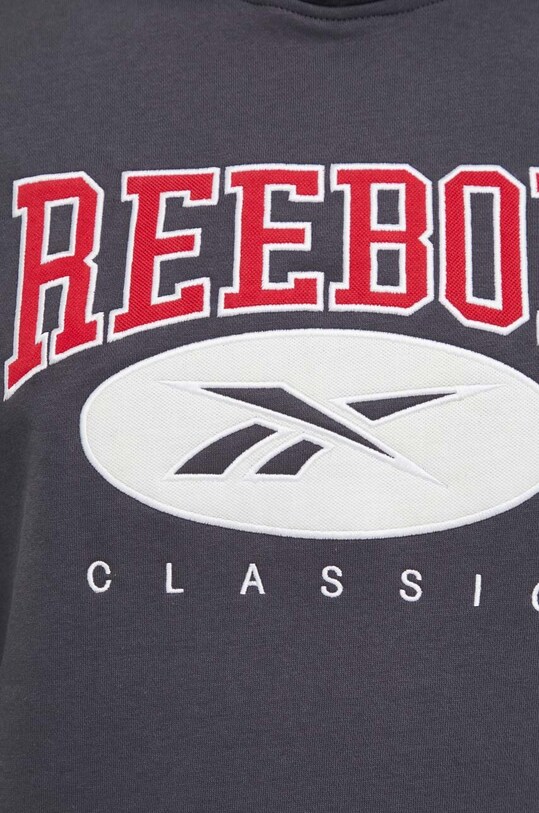 Кофта Reebok Classic 100036768 сірий