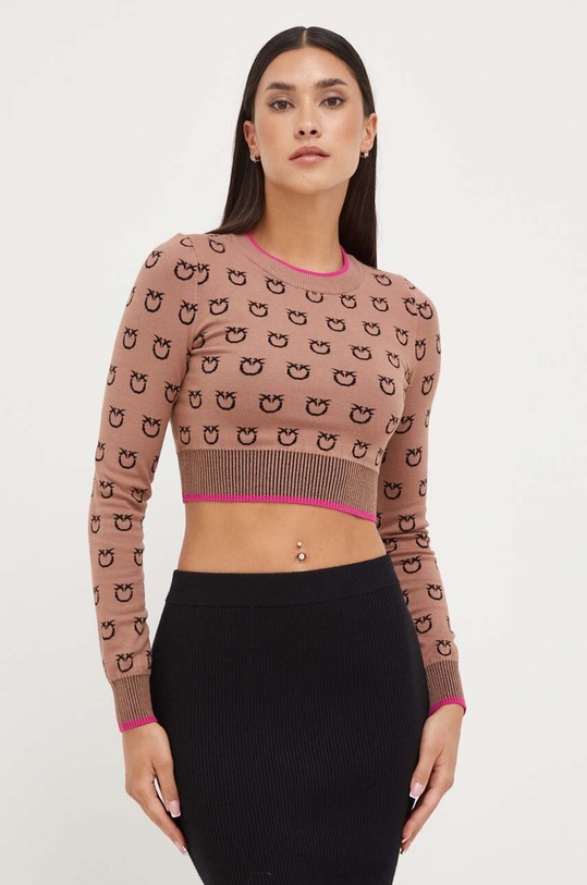 Светр Pinko інші коричневий 101561.A112