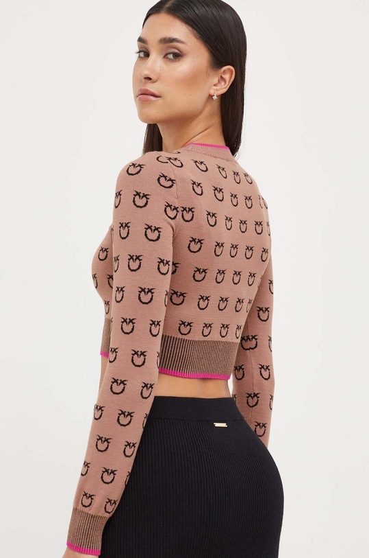 Odzież Pinko sweter 101561.A112 brązowy