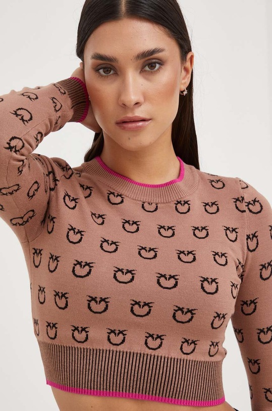 Светр Pinko коричневий 101561.A112