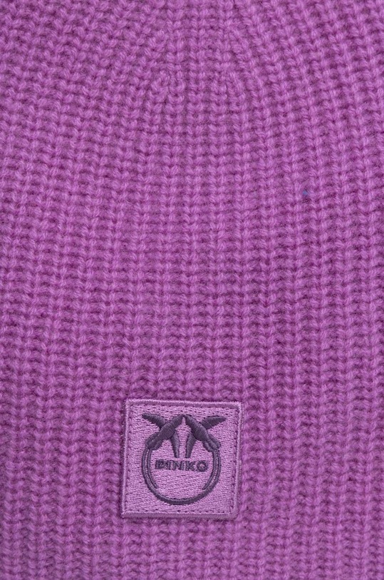 Accessori Pinko cappelo in cashemire 101501.A0ZX violetto