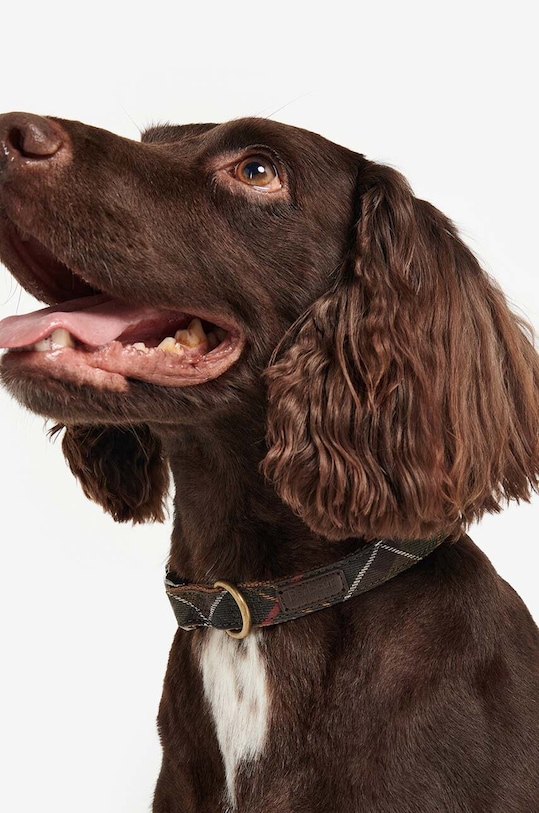 Ogrlica za psa Barbour DAC0005 šarena