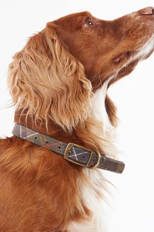 Ошейник для питомца Barbour мультиколор DAC0008