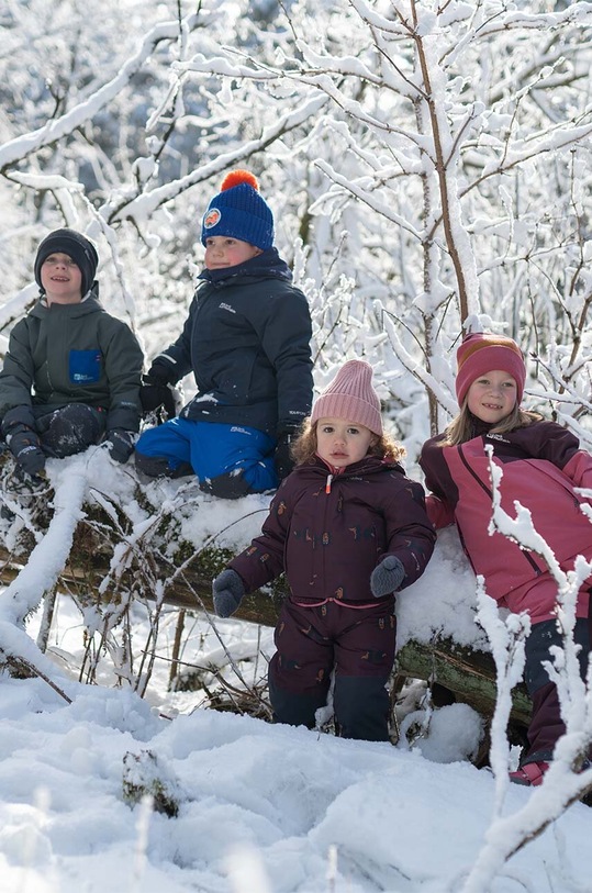 Дитяча куртка Jack Wolfskin GLEEL 2L INS PRINT 1610381 бордо