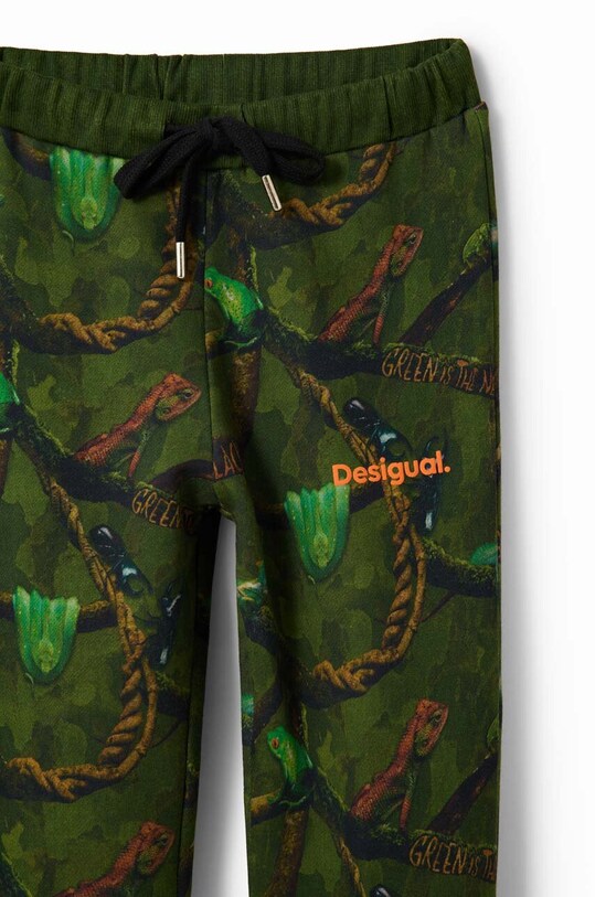 Хлопчик Дитячі спортивні штани Desigual 23WBPK01 зелений